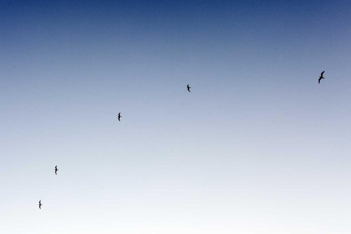 Consequatur consectetur sed eos excepturi.