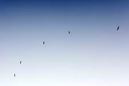 Consequatur consectetur sed eos excepturi.