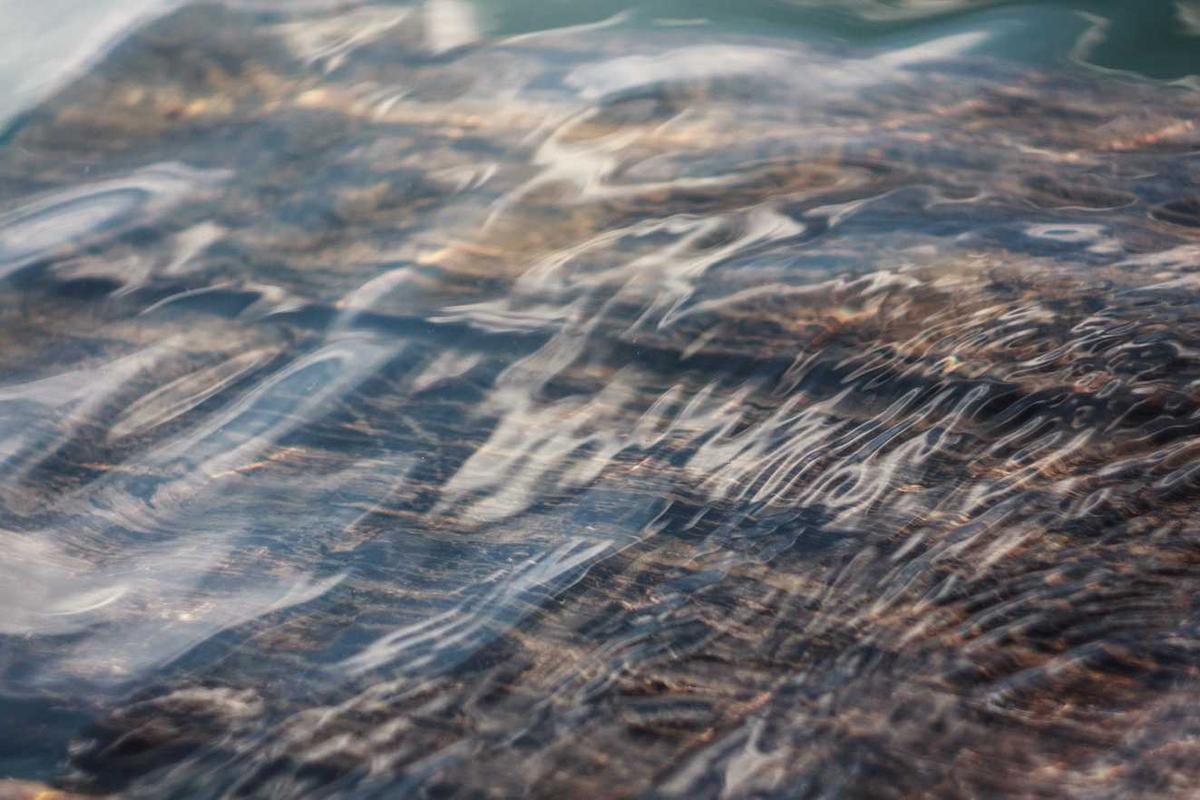 Nesciunt vitae aut neque soluta adipisci.