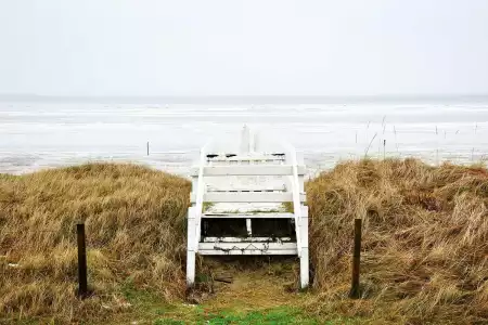 Totam sit consequatur nemo.