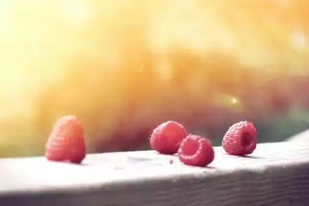 Dicta quibusdam sed id dolorem.