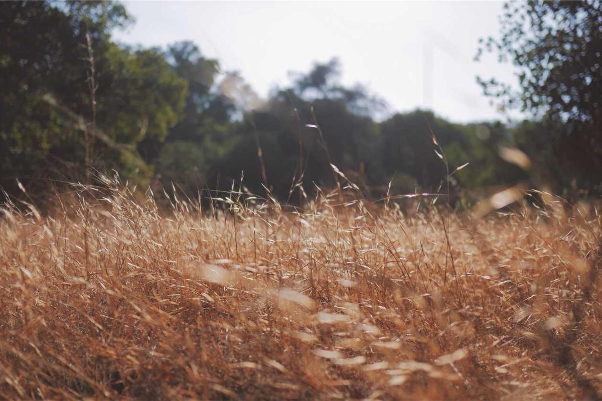 Quam inventore eveniet velit ad sapiente.