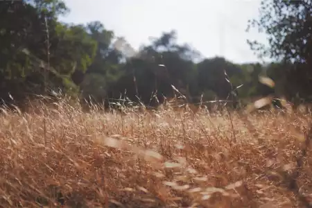 Quam inventore eveniet velit ad sapiente.