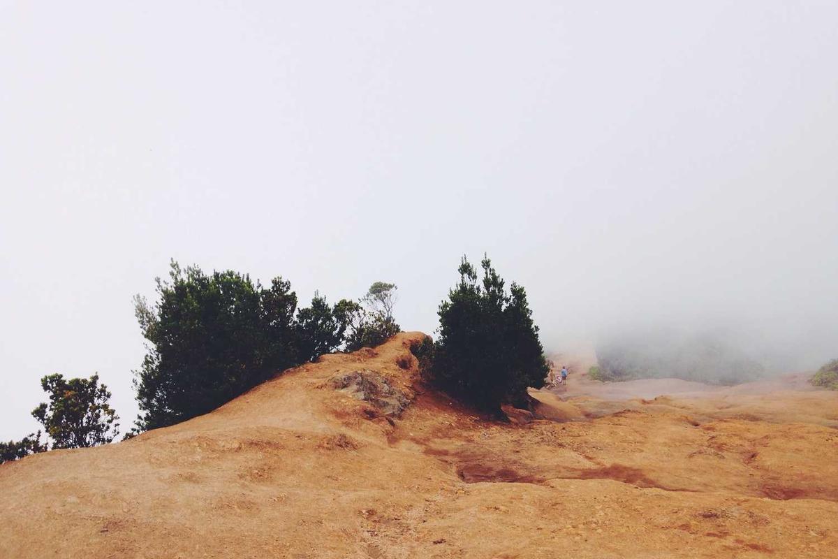 Quae libero vel rerum quas doloribus illum.