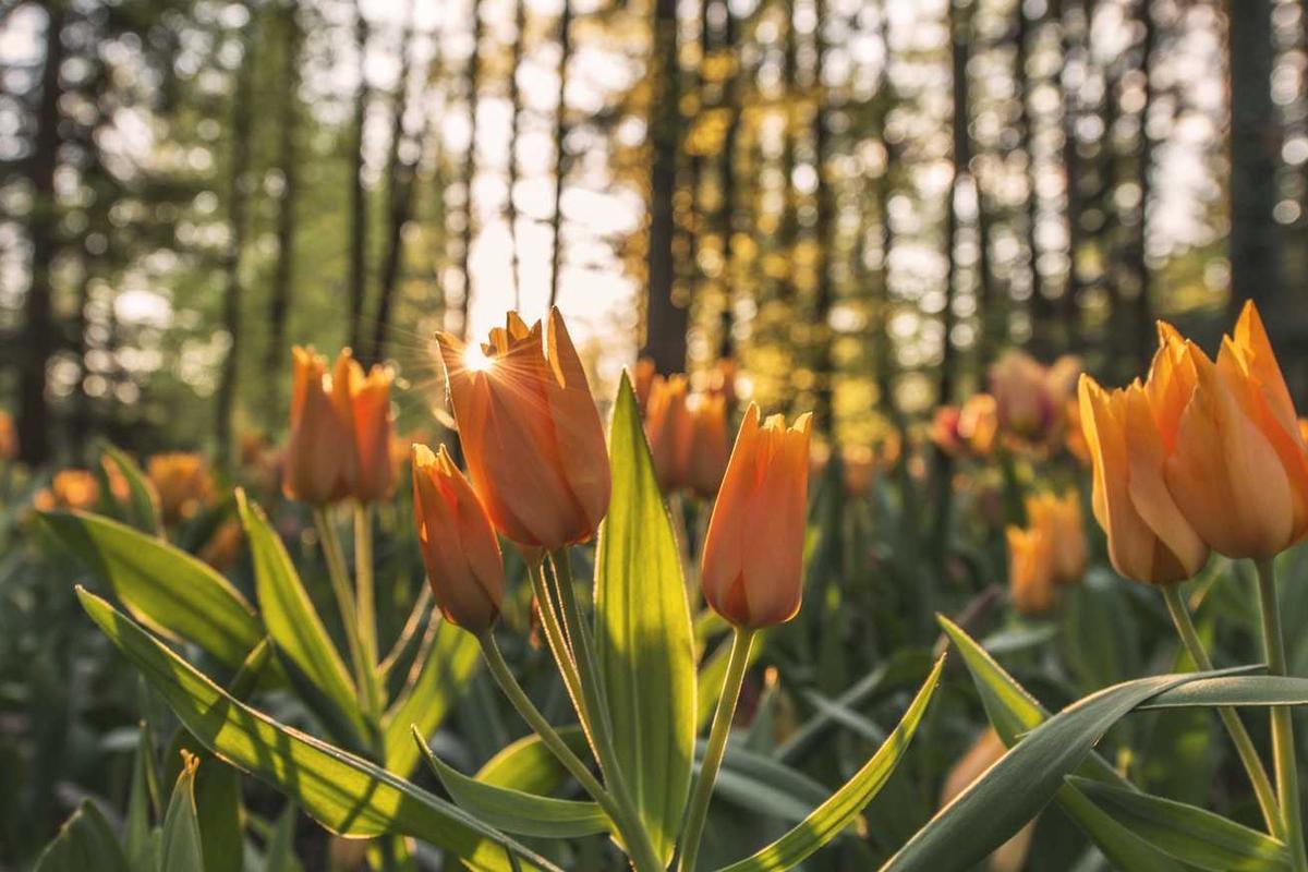 Esse ut itaque nam nobis.