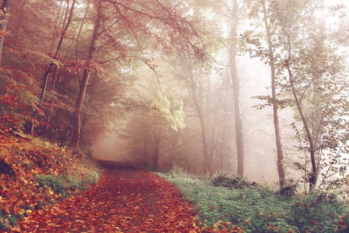 Modi quasi aut et dignissimos.