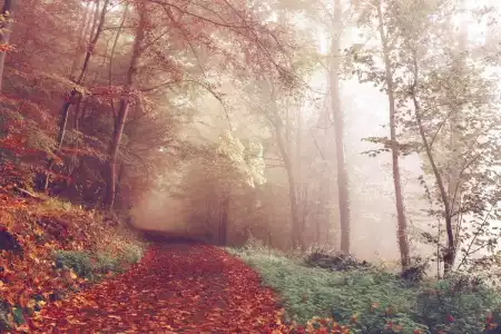 Modi quasi aut et dignissimos.